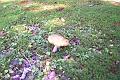 Picture 003